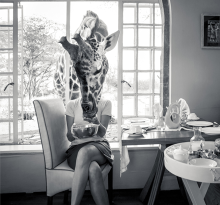 Breakfast time at Giraffe Manor